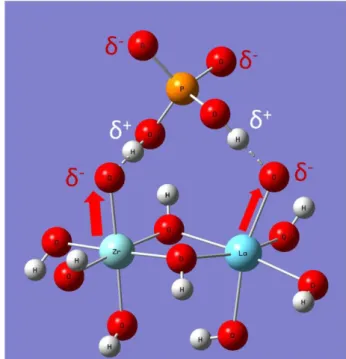 Figure S7.  Schematic  polarization interactions for the dipolar of aqueous HPO 4 2- /H 2 PO 4 -  on surface  of the bimetallic La/Zr hydroxides.
