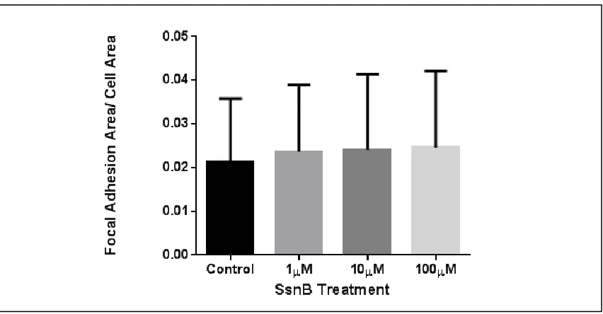 Figure 2.6 SsnB promotes focal adhesion formation. Treated cells show dose-dependent increase in focal adhesion area (p<0.05 ANOVA) with presence of high variability in the results obtained
