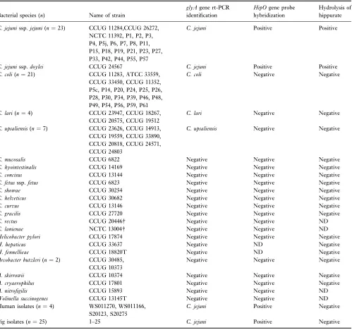 Table 1 Evaluation and comparison of real-time-PCR (glyA), DIG probe colony-blot hybridization (hipO) and hippurate hydrolysis by testingCampylobacter ssp