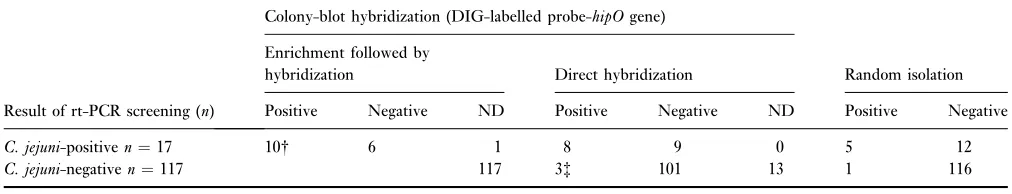 Table 3 Comparison of the rt-PCR results (no. of samples*) with colony-blot hybridization and random isolation for detection ofjejuni Campylobacter in pig faecal samples