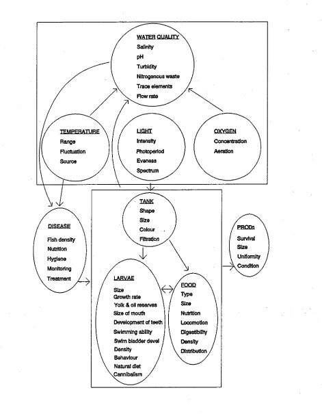 Figure 2  The relationship of major categories of factors influencing 