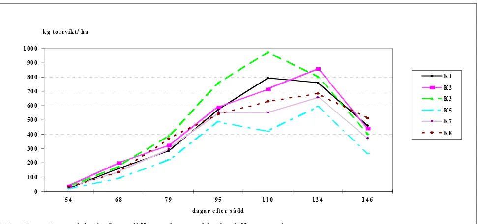 Fig. 20 Dry weight, kg/ha at different dates and in the different variants.  
