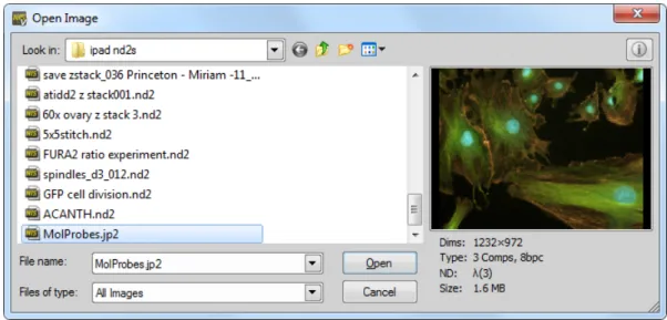 Figure 3.1. Open dialog window