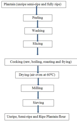 Figure 1. Flow chart for the production of plantain flour. 