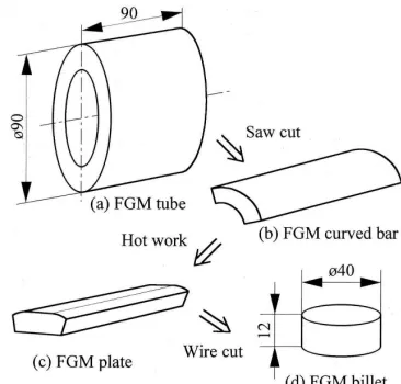 Figure 4. Schematic representation of the backward extruding process for Al–Si FGM. 