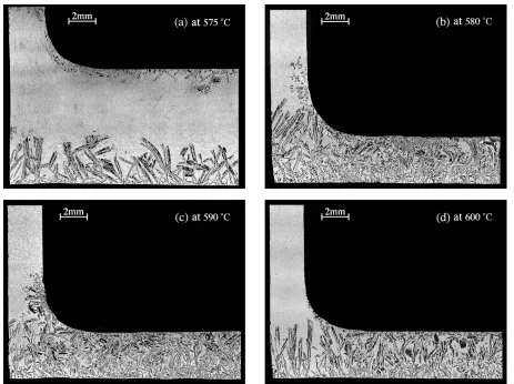 Figure 5. Micrographs showing the typical morphology of Al–Si FGM. 