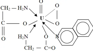 Figure 3. Proposed structure of complex (4). [UO(O2)(gly)2(Q)]. 