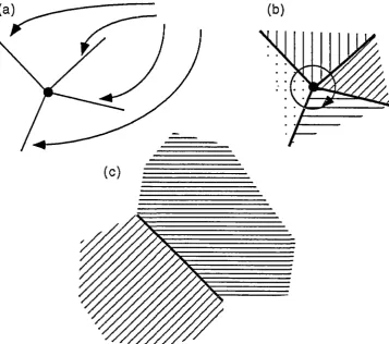 Figure 1.4 - coboundary orderings in a subdivided 2-manifold (a) the coboundary of a 0-cell (b) the circular ordering of 1-cells and 2-cells about the 0-cell and (c) the coboundary of a 1-cell ie