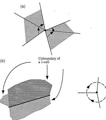 Figure 1.5 - co boundary orderings in a subdivided 3-manifold (a) two subspace circular orderings for a 0-cell (shaded disks when flattened)