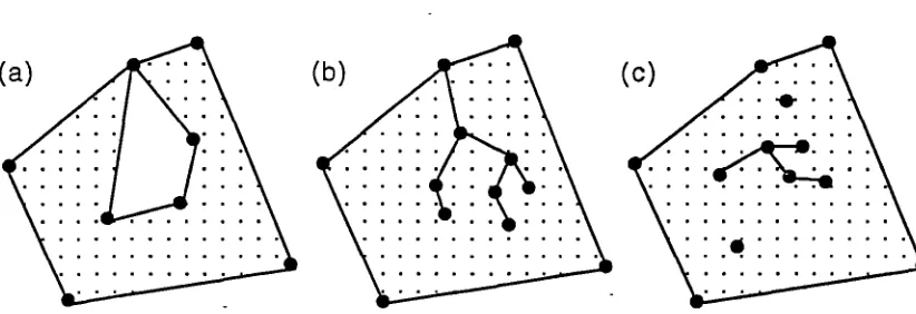 Figure 1.7 - singular 2-cells (a) 2-cell with a cyclic singular boundary (b) 2-cell With an acyclic singular boundary (c) a 2-cell with interior singularities 