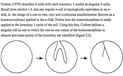 Figure 2.1 - a singular 2-cell ie. a 2-cell with isolated 1-cells and 0-cells in its interior and a boundary 1-cycle with a dangling tree structure 