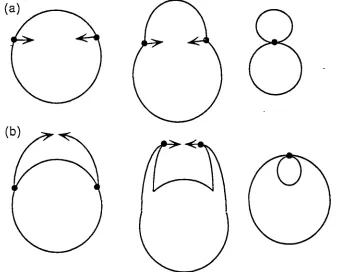 Figure 2.3 - cyclic singularities generated by identifying points - (a) a 'figure 8' (b) an interior 'hole' 