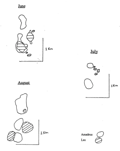 Figure 3.5 Changes in home range overlap between two male cats associated with the mating season