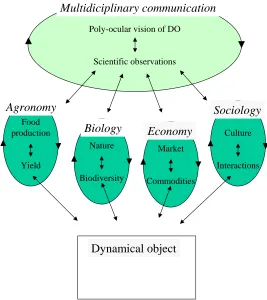 Figure 4: The relationship between disciplines and multidisciplinary communication.    