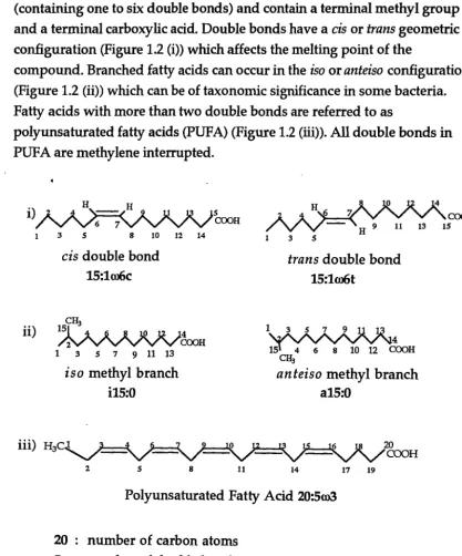 Figure 1.2 Fatty acid structures. 