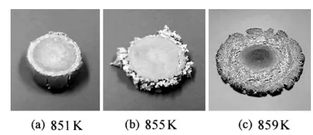 Figure 3. The profiles of compressed Duralcan F3A.20S specimen in the drop-forge viscometer