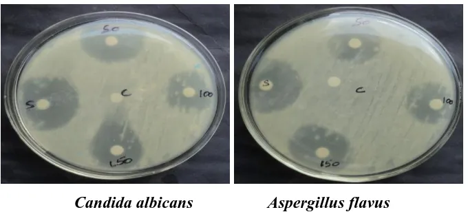 Fig. 1: Antimicrobial activities of Pargularia daemia. 