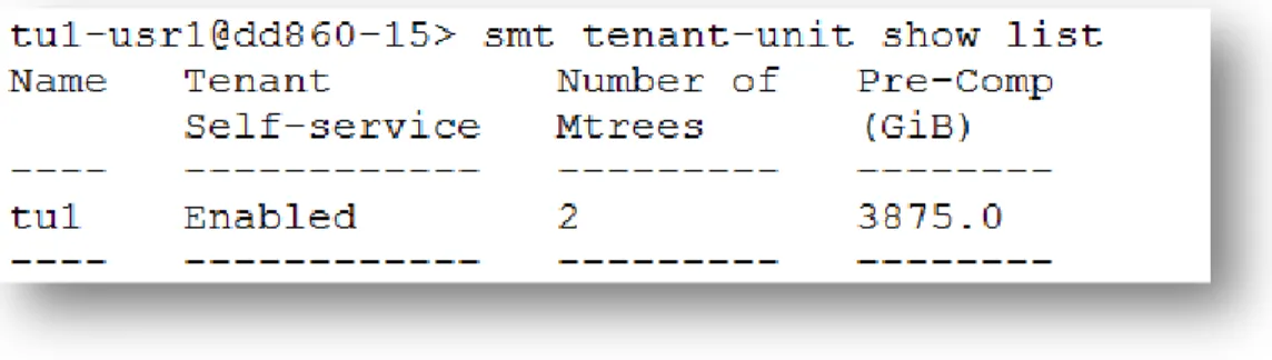 Figure 5. Tenant User view of logical capacity using tenant self-service 