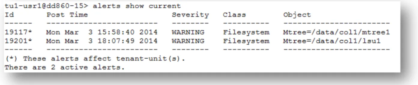 Figure 9. Tenant user view of current alerts on the privileged objects only 