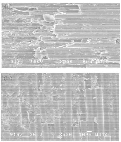Figure 9. SEM images of 6 wt % TiC filled G-E composites at (a) 32 N, 150 m, (b) 32 N, 600 m