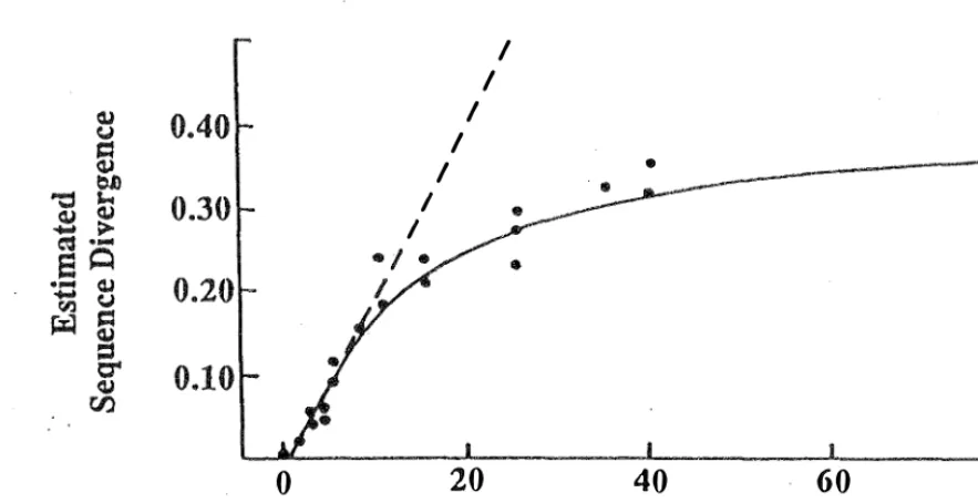 Figure lc Empirical relationship between estimated nucleotide sequence divergence and time described for mammalian mtDNA by Brown (1979) and Brown (1983)