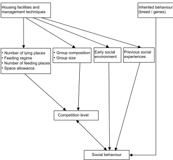 Figure 1. Factors that influence the social behaviour of cattle (adapted from: Bøe and Færevik, 2003)