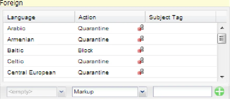 Figure 8. Foreign Language options