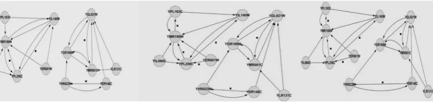 Figure 3: YOR263C sub-network (12).