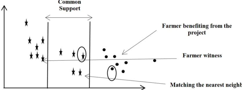 Figure 1. Propensity score matching and common support. 