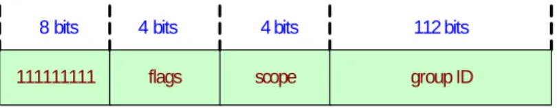 Figure 9 IPv6 multicast address  