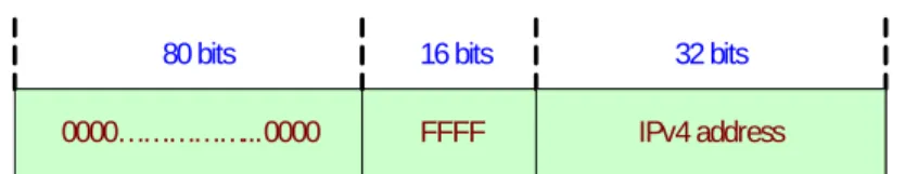 Figure 12 IPv4-mapped IPv6 address 