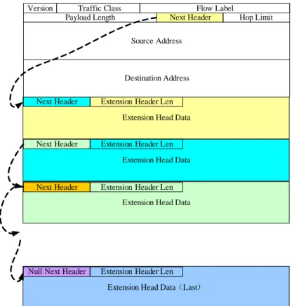 Figure 3 Structure of the IPv6 extension headers