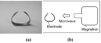 Figure 1. (a) A picture of the optimal shape of an electrode for generating plasma. (b) The relationship between the direction of the electrode and the generation of the microwaves