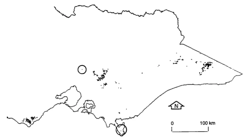 Figure 1.1 The distribution of cool temperate rainforest in Tasmania. 