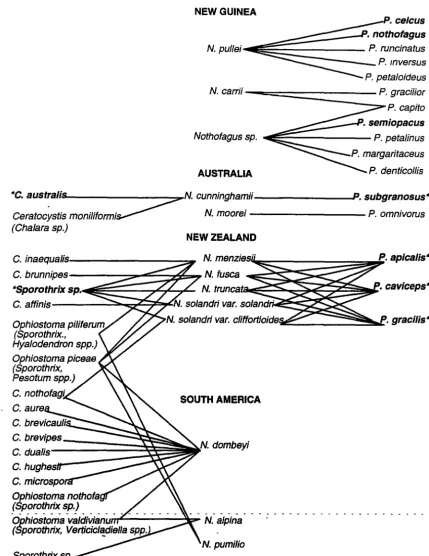 Figure 1.3 Associations of NothoftJgus, Ch11/ara, the Csratocystls complex and Platypus