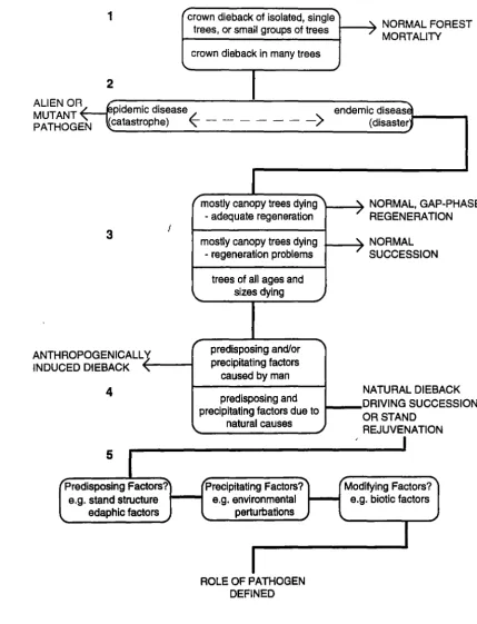 Figure 1.4 Flow chart to assess the role of a known pathogen In a natural forest system