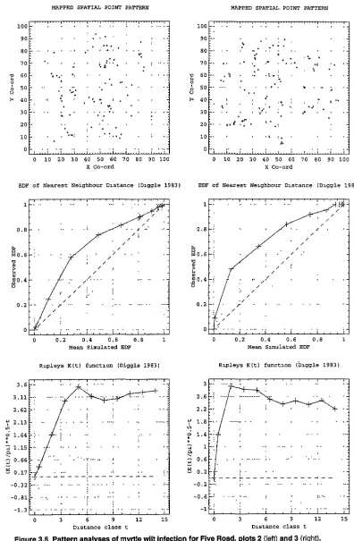 Figure 3.5 Pattern analyses of myrtle wllt infection for Five Road, plots 2 (left) and 3 (right)