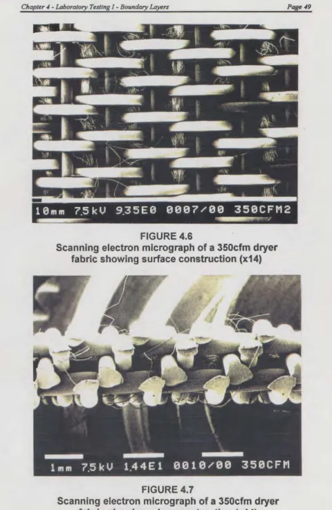 FIGURE 4.6 Scanning electron micrograph 
