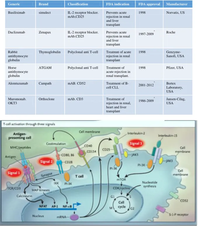 Table 4: Overview of some induction immunosuppression agents. 