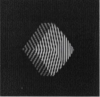 Fig. 2.11: Object scanned with coded light