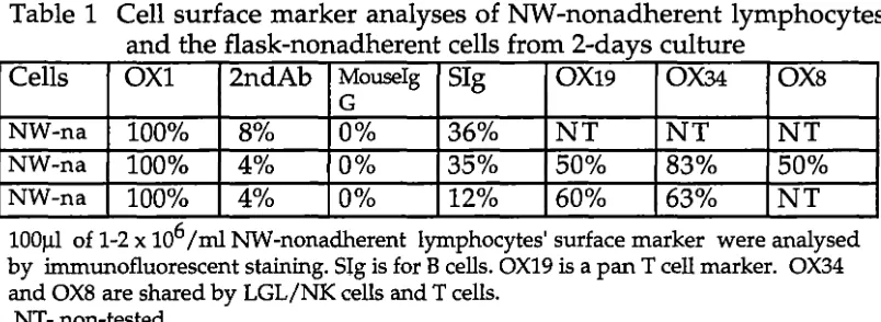 Table 1 Cell surface marker analyses of NW-nonadherent lymphocytes and the flask-nonadherent cells from 2-days culture 