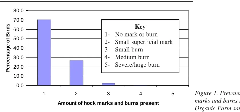 Figure 1. Prevalence of hockmarks and burns in Sheepdrove