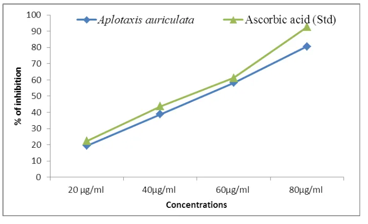 Fig 2: Total antioxidant assay of Aplotaxis auriculata rhizomes.