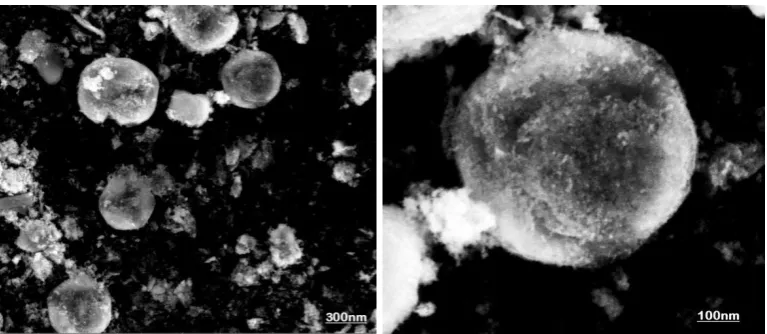Figure 1: XRD pattern of Zinc Oxide. 