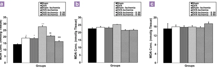 Figure 6: The effects of soy extract on impaired rotarod performance (motor performance)  of  ovariectomised  rats induced by ischemia