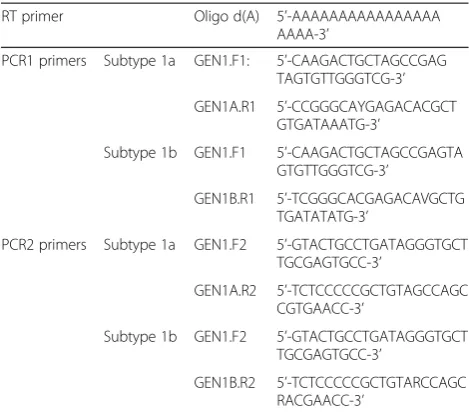 Figure 1 Primer locations. RT, PCR1 and PCR2 primers were designed based on H77 for subtype 1a and Con1 for subtype 1b, and the relativeposition of these primers is shown.