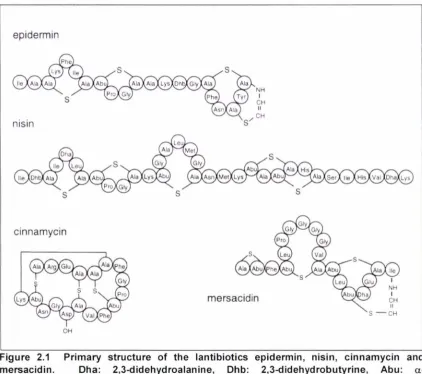 Table 2.1 Comparison of the amino-acid sequences for a range of Class la bacteriocins