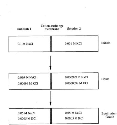 Fig. 2.5 Donnan dialysis of KC1 and NaCl. 
