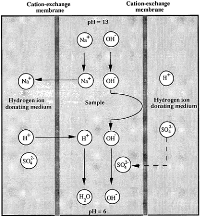 Fig. 4.1 Theoretical diagram of Donnan dialysis. 