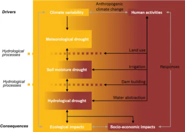 Figure 2. Drought propagation including natural and human drivers and feedbacks; black arrows indicate direct influences and grey  ar-rows indicate feedbacks (modified from Van Loon et al., 2016).